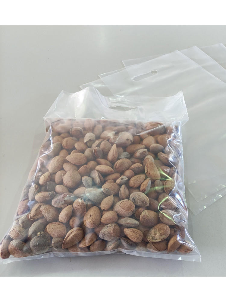 Sacos com Asa Vazada