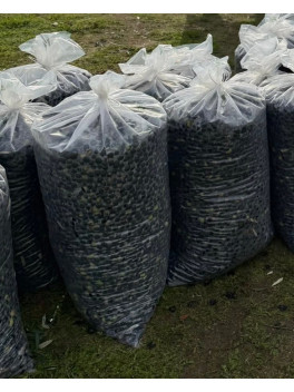 Sacos Transporte Alimentar (s/alça)