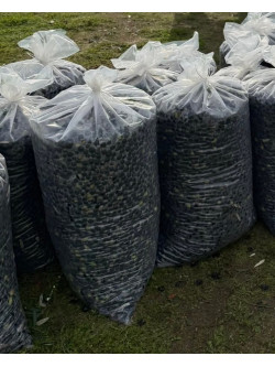 Sacos Transporte Alimentar (s/alça)